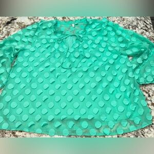 Cato Mint Green 3D Polka Dot Pom Pom Textured Tie Neck Sheer Blouse XL Preppy